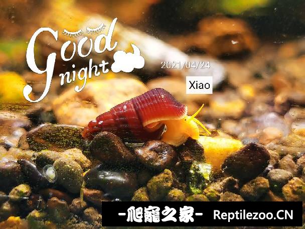 011346di0pzkvzi063y3wh.jpg
