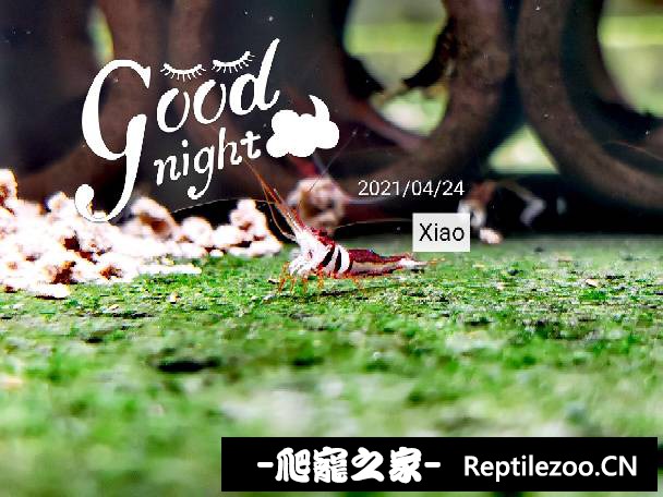 011348kgcfph07hgf8fr9f.jpg