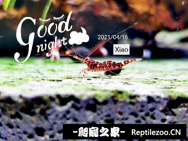 011349dghyj9rj6zcfycyt.jpg