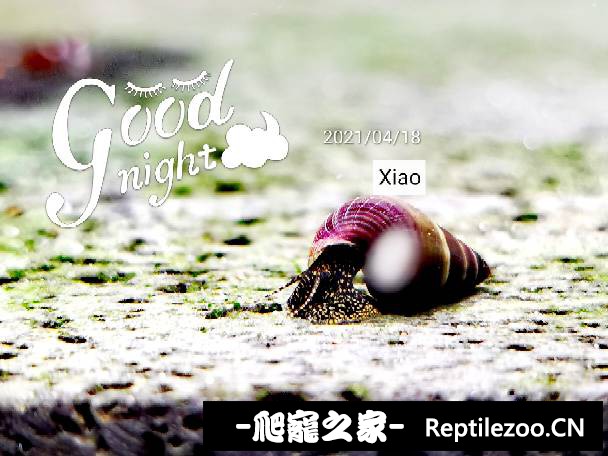 011352go4on99goqvql1o1.jpg