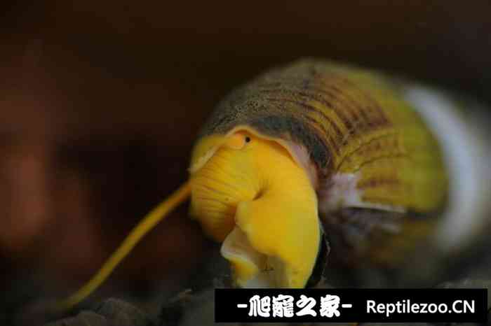 011448yaiqp55jbw09ryc9.jpg
