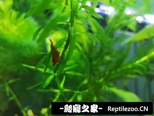 011521qtz9uwpn8wsphbbh.jpg