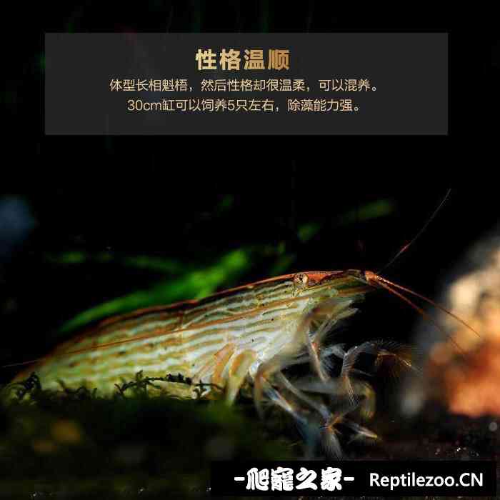 011812bpsm3st44m8d4zs4.jpg