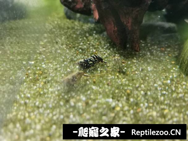 014505qj2mmm9yciyz9cy4.jpg