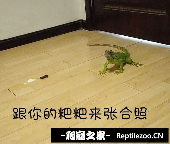 015857ouh8d200xi2mxmmi.jpg