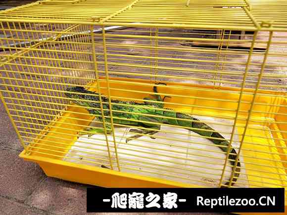 015904weakkephgp4cacpa.jpg