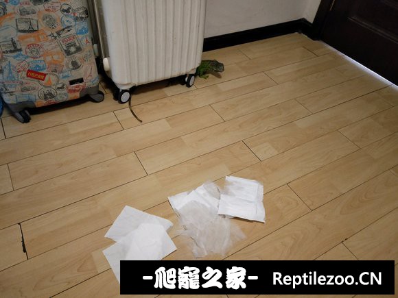 020138lqvbqzbg7ebm8bhn.jpg