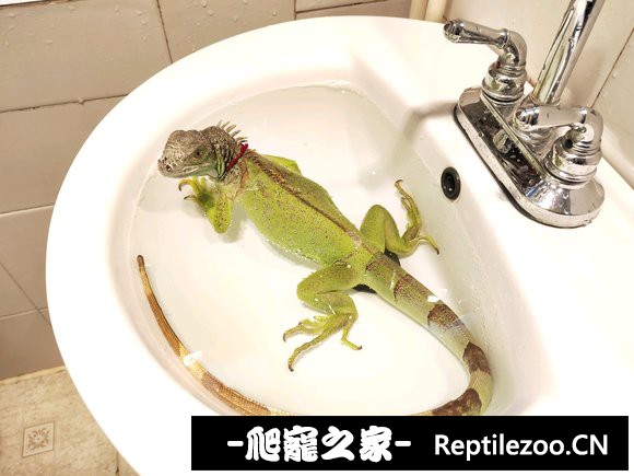 020233zjjgjue5uijkzzn1.jpg
