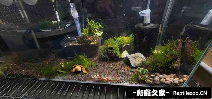 085112z8wtv9wtwwb9cww0.jpg