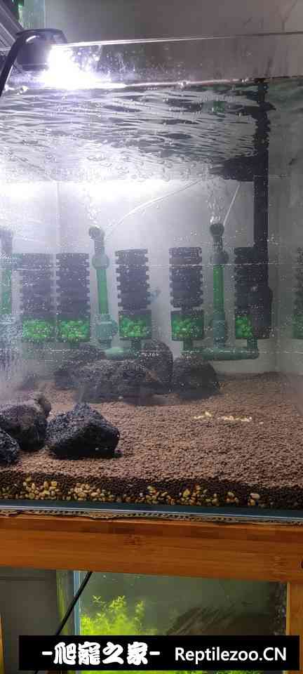 122509vqjjctgx595j44zj.jpg