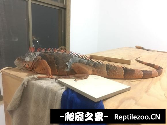 144037bpunyuiyj3idutpn.jpg