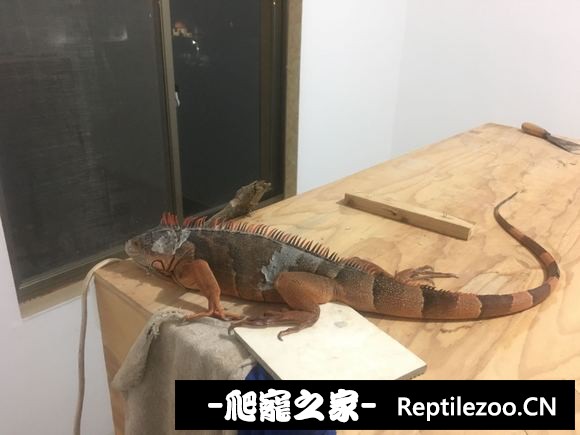 144039u2n7reegeq7jre2e.jpg