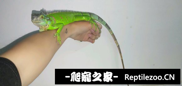 144301jqn12rqf218z153p.jpg