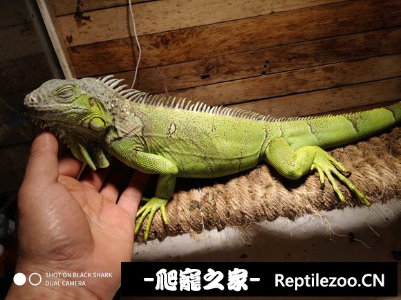 144329qlz4304hupljob4u.jpg