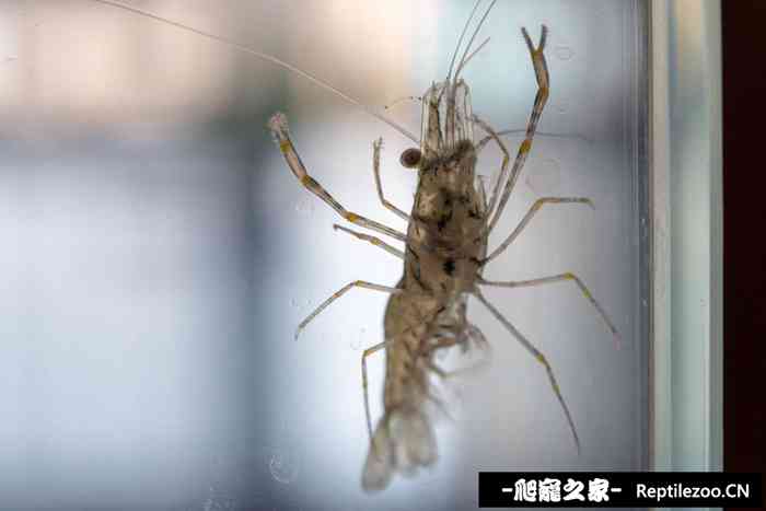 202608f36ticft6t3cbtu3.jpg