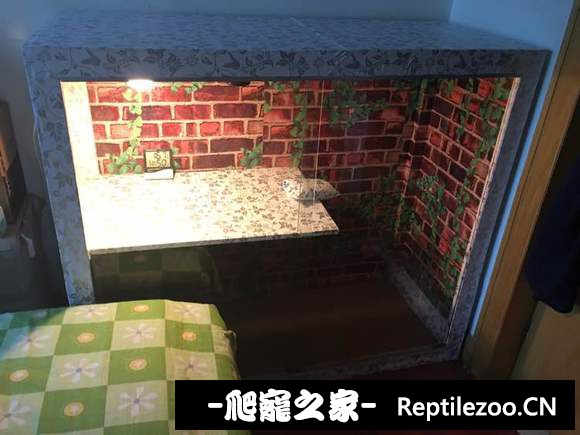 230509mwaxwe3ld3ns3wol.jpg