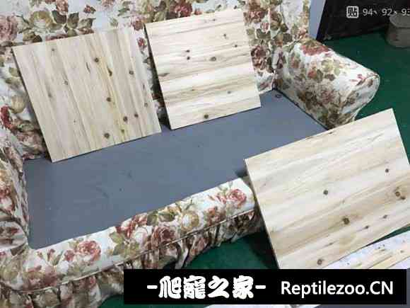 002422l4atknlkz8trukwi.jpg