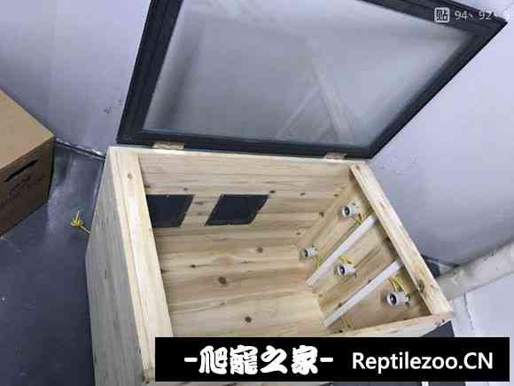 002424szzttujytndalj2u.jpg
