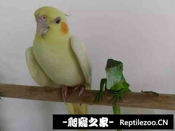 004205qwqzgzvwfjkvgldg.jpg