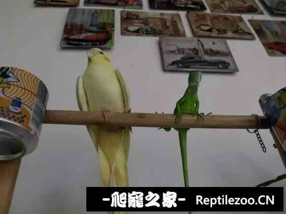 004206awvpbfblvnz9bhmp.jpg
