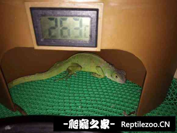 004713yiabc4z4o2o43na6.jpg
