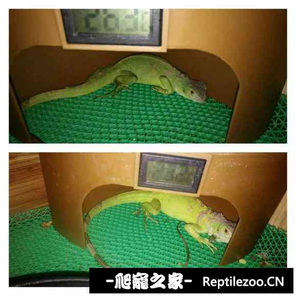 004720qfcg2c84ccm4114e.jpg