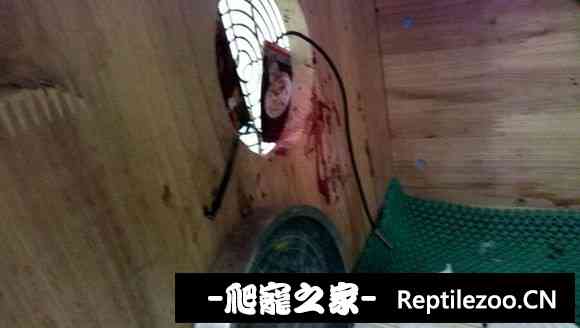 004721mbb8upoyyyeb2ypf.jpg