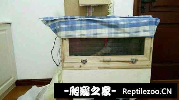 004723jp4tny2rjkcydbt7.jpg