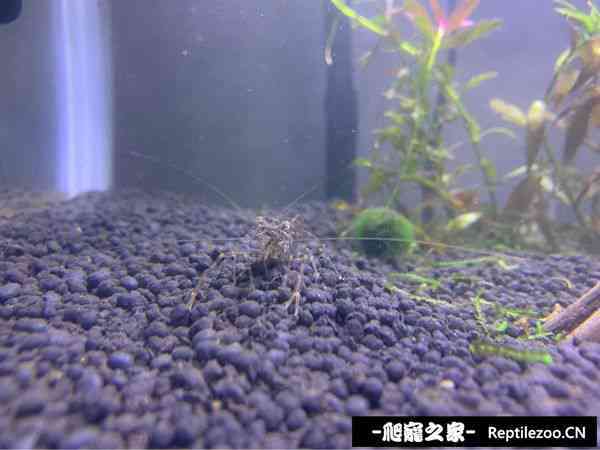 012523l1415ahyn6yyl6hh.jpg