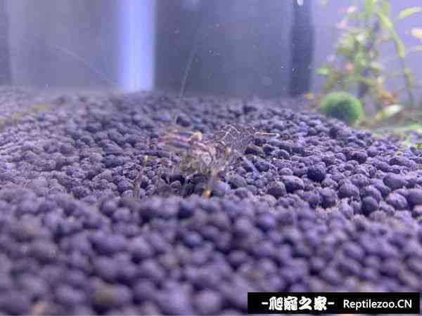012524c25l8w5ej1cv2mm6.jpg