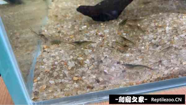 015645cn61cb3csnzd6xs1.jpg