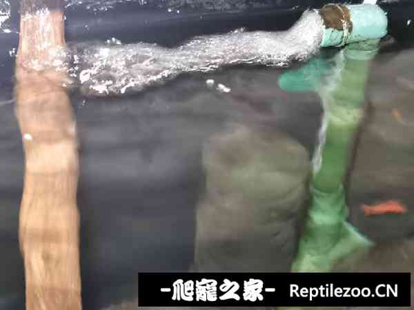 021009aqb8dvfzmmhxxapa.jpg