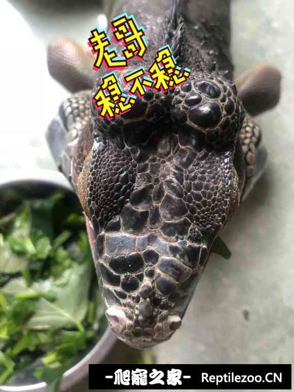 022430tgqqowbbwfqoncgc.jpg