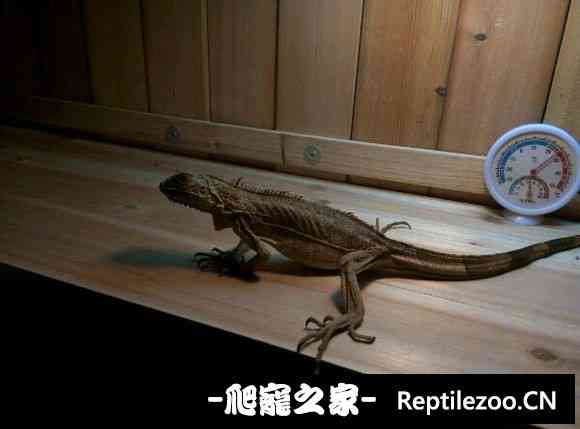 022554snu666kibzikj9jv.jpg