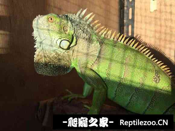 022706nrb2778kbfoj8jec.jpg