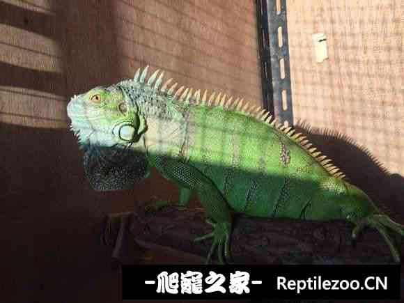 022707alu5uqrt4lhuslhu.jpg