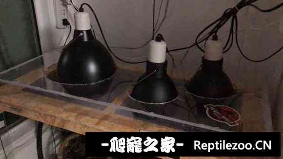 023212e8xn68o2b5now12i.jpg