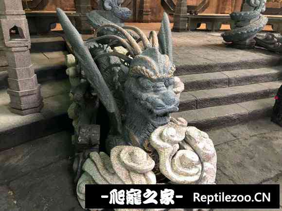 023229y4dmkcczaodktsoc.jpg