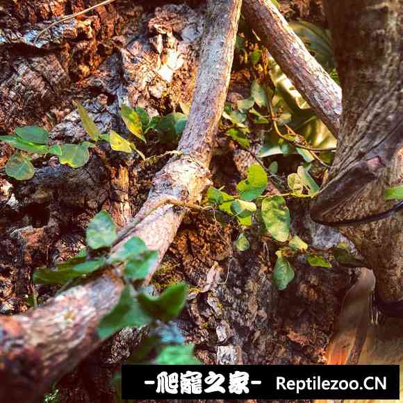 023317mcf9ac8hkgtuwtkt.jpg