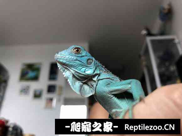 023419vbbs6fbciwi85ndd.jpg