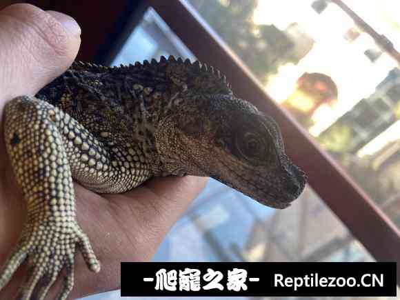 023632ac7oid5uoqpqqucy.jpg