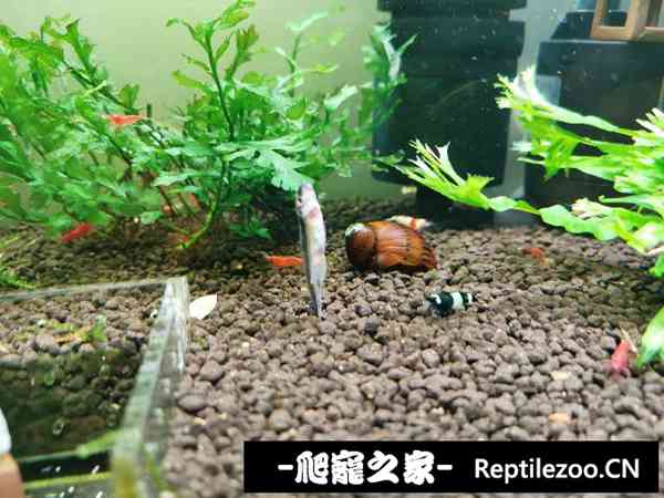 024527fh2bc7bq7gefbegz.jpg