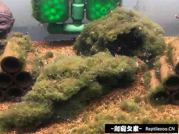 031010dcqxtex81pgteo8h.jpg