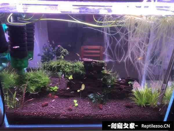 031509epbxz2bb4q25zv5d.jpg