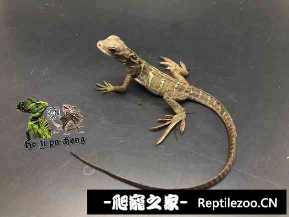 035509nultedr5upeoe5uu.jpg