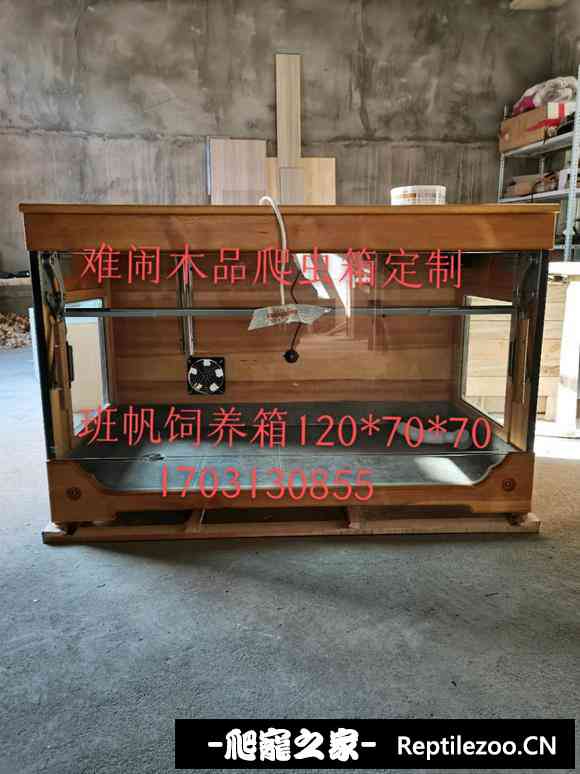 045003jbdpmlsz7m6p2mfs.jpg
