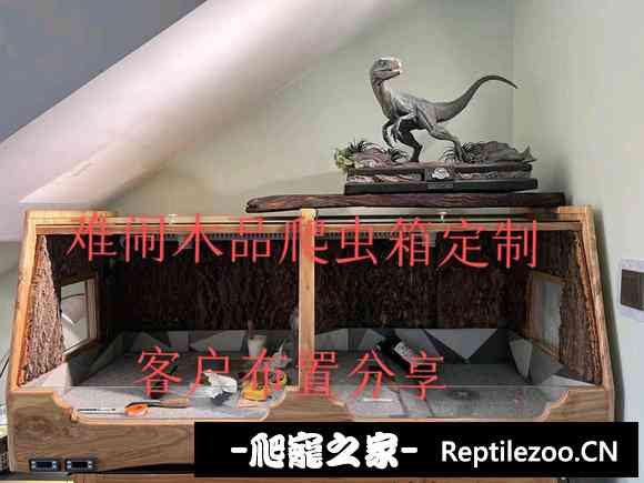 045004v1kkm0xxmkh2dkvh.jpg