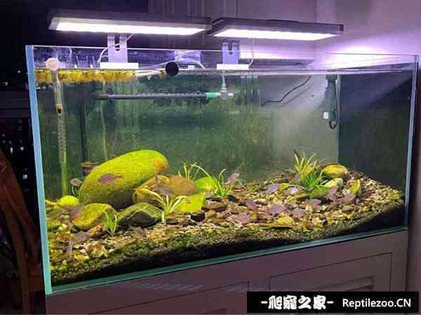 055507qhkkr25rk2525rc5.jpg