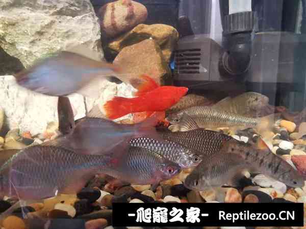 064505g7mx2dvhx8ds48s8.jpg