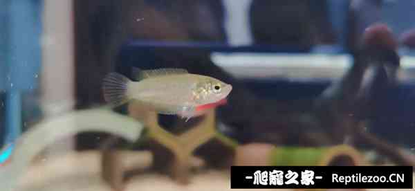 071003xgxb8z03gj5t08ba.jpg